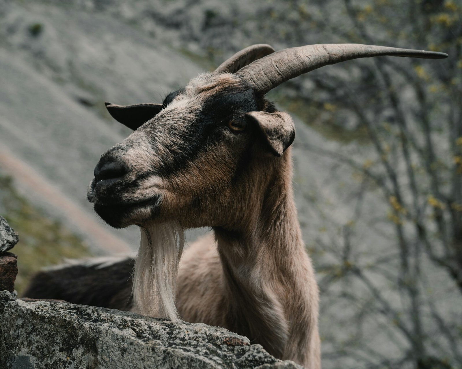 alejandro-luengo-5ZneluXu8WY-unsplash
