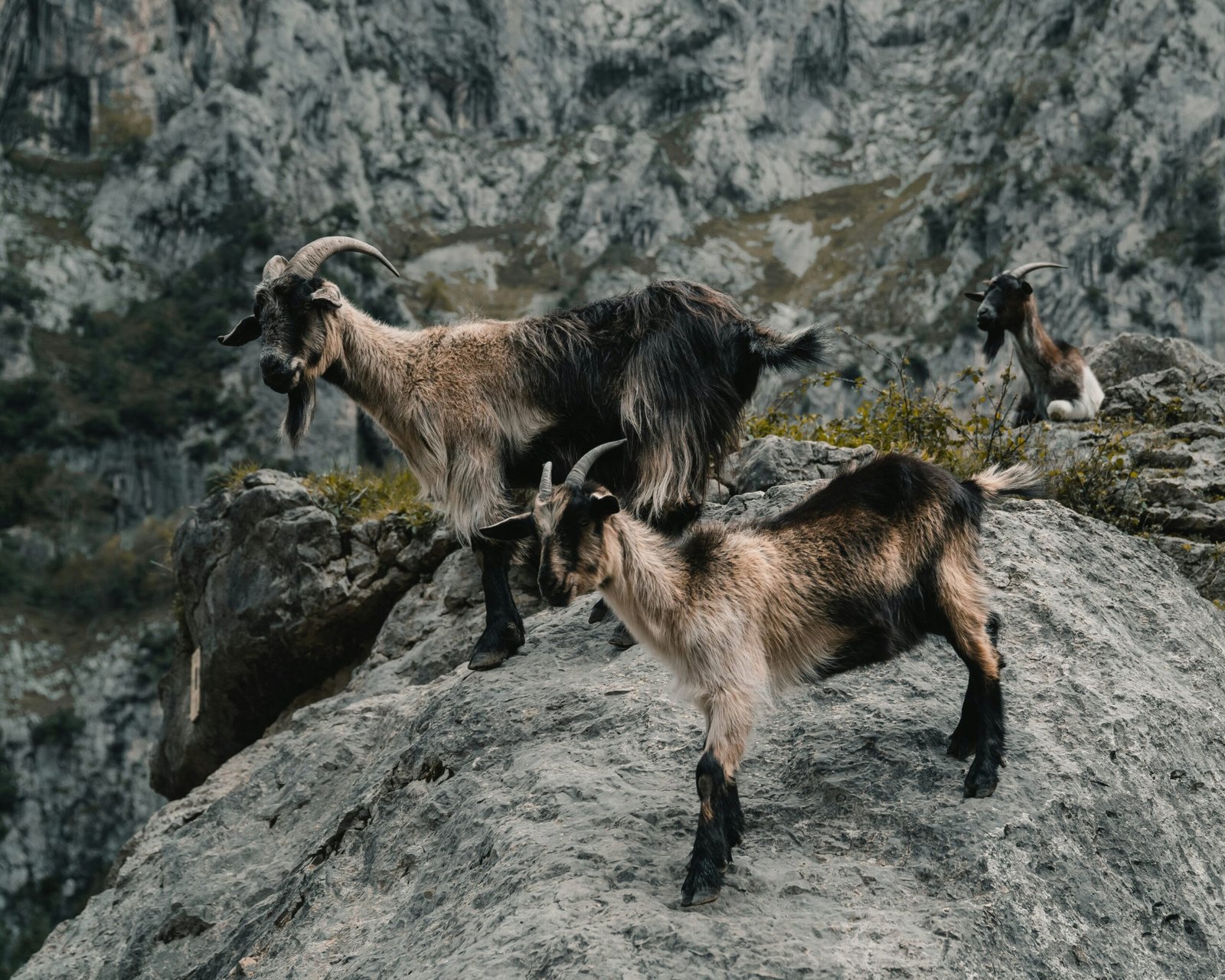 alejandro-luengo-k1VarkuxSmo-unsplash